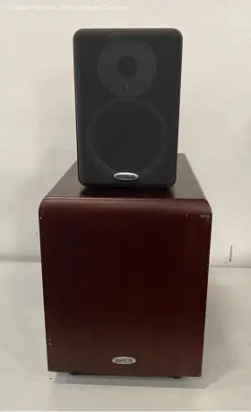 HDF-B5 AMERICAN RECORDER Speaker Subwoofer Repair