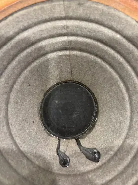 25XL CENTURION Woofer Surround #2