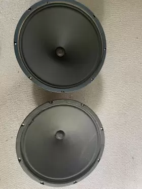 P15Q JENSEN Alnico Speakers