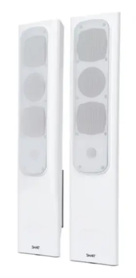 SBA-100 SMART TECHNOLOGIES Speakers Board Displays Box