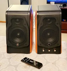 MK200III SWAN AUDIO Speaker #2