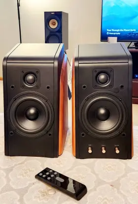 MK200III SWAN AUDIO Speaker
