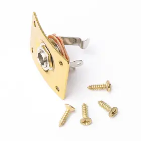 XX0050195 SWHMC Electric Guitar Jack Socket Plate