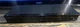 Sharp Aquos BD-AMS20U 3D Blu-ray Disc Player - Free Shipping