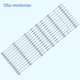 12PCS LED Strips For ELEMENT E4SW7019 E4SW7019RKU LED70D06A-ZC66AG-03 LED70D06B