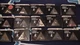 PFANSTIEHL TURNTABLE DIAMOND NEEDLE LOT OF 15! 620-DS77 509-DS77 809-DS73 MORE!