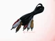 Audio Cable Cord For Bose 3&middot;2&middot;1 321 GS Series II DVD home entertainment system