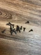 SCREWS  for Samsung LN32C450E1DXZA (OEM)