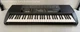 Casio CTK-700 100 Son Bank 61-Key Electronic Keyboard