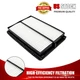 1 x Engine Air Filter For Hyundai Santa Fe Sport Kia Sedona Sorento 28113-A9100