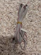 RCA RTU5540-C TV Cable Set