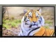 LG 49" 4K UHD Smart Commercial Digital Signage Display TV Monitor 49UH5F-H
