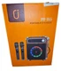 JYX-S55 Portable Karaoke Machine Speaker With 2 Wireless Microphones Wood NEW