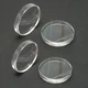 Acoustic Revive RIQ-5010W Quartz Insulators Set of 4 for Audio Equipment