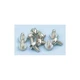 RT07820 Screw6_32 STARTECH Replacement Expansion Slot Fixing Screws 6-32X4mm X50