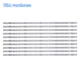 LED Strips for VIZIO E60-E3 D60-D3 LG Innotek 60inch FHD FBC SVG600A25 SVG600A30